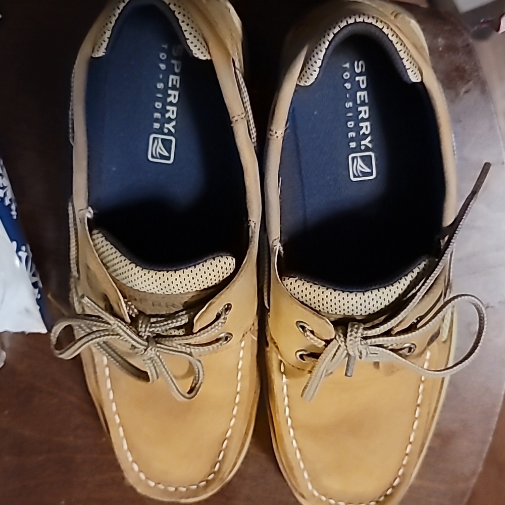 Sperry Fairwater Plushwave boat shoes